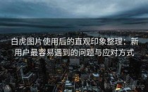 白虎图片使用后的直观印象整理：新用户最容易遇到的问题与应对方式