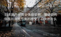 白虎图片不完全体验说明：整体使用氛围与浏览节奏的感受，白虎图片头像
