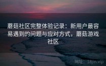 蘑菇社区完整体验记录：新用户最容易遇到的问题与应对方式，蘑菇游戏社区