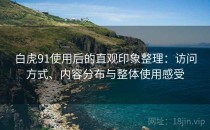 白虎91使用后的直观印象整理：访问方式、内容分布与整体使用感受