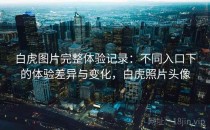 白虎图片完整体验记录：不同入口下的体验差异与变化，白虎照片头像