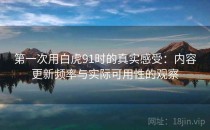 第一次用白虎91时的真实感受：内容更新频率与实际可用性的观察