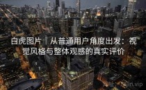 白虎图片｜从普通用户角度出发：视觉风格与整体观感的真实评价