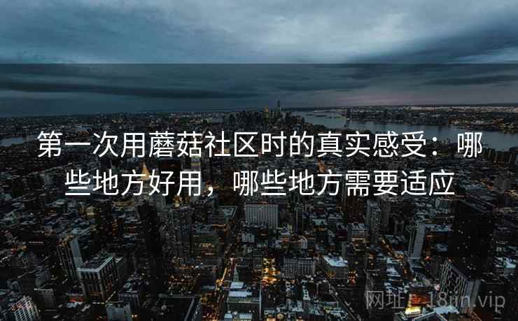 第一次用蘑菇社区时的真实感受：哪些地方好用，哪些地方需要适应  第2张