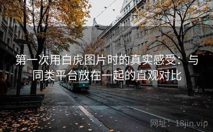 第一次用白虎图片时的真实感受：与同类平台放在一起的直观对比  第2张