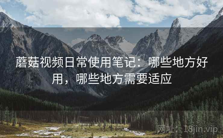 蘑菇视频日常使用笔记:哪些地方好用,哪些地方需要适应 第2张 蘑菇视频日常使用笔记:哪些地方好用,哪些地方需要适应 第2张