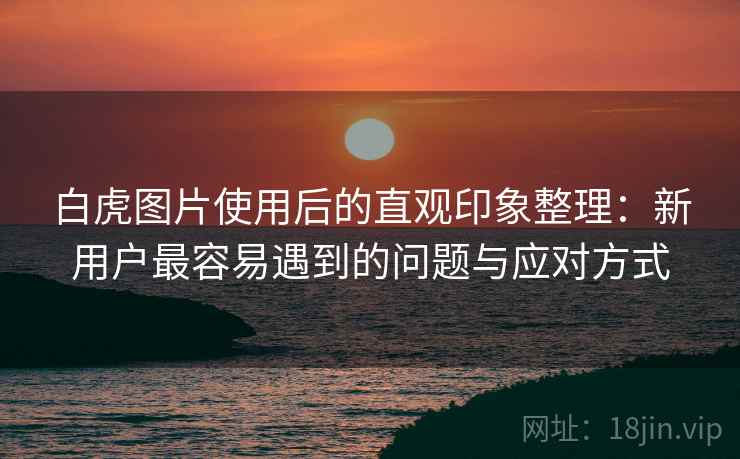 白虎图片使用后的直观印象整理:新用户最容易遇到的问题与应对方式 第2张 白虎图片使用后的直观印象整理:新用户最容易遇到的问题与应对方式 第2张