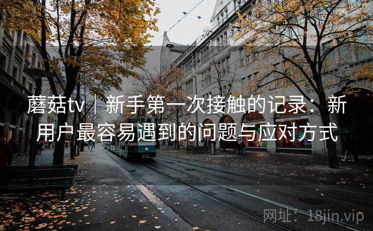 蘑菇tv｜新手第一次接触的记录：新用户最容易遇到的问题与应对方式  第2张