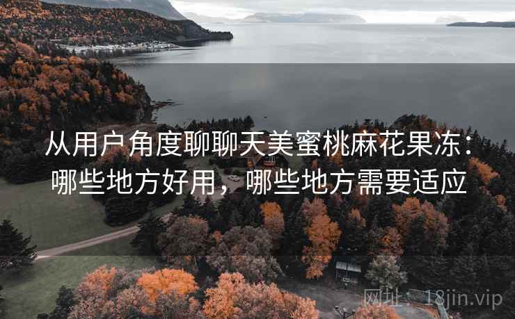 从用户角度聊聊天美蜜桃麻花果冻：哪些地方好用，哪些地方需要适应  第2张