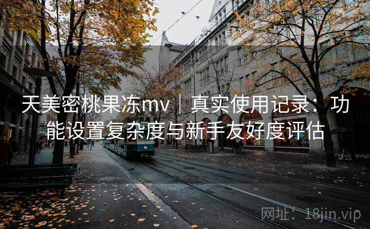 天美密桃果冻mv｜真实使用记录：功能设置复杂度与新手友好度评估  第1张
