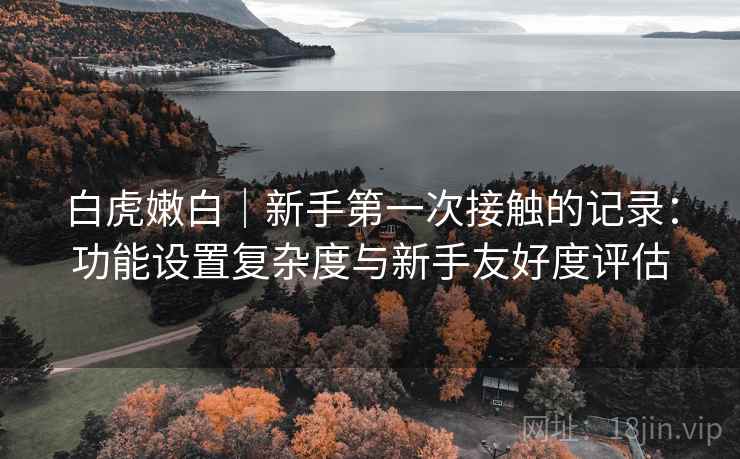 白虎嫩白｜新手第一次接触的记录：功能设置复杂度与新手友好度评估  第1张