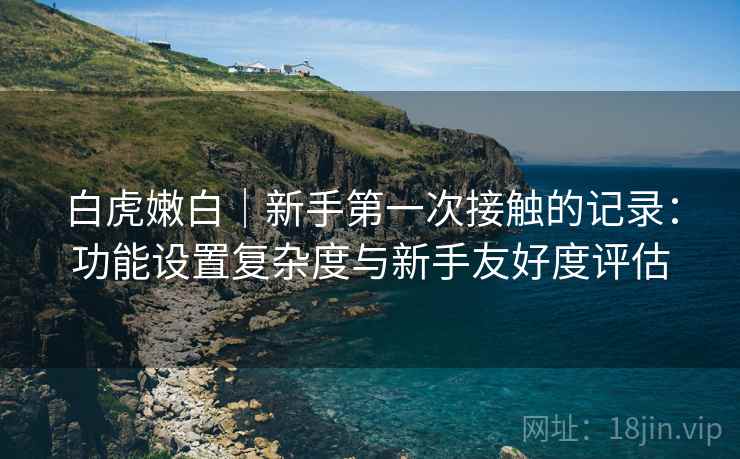 白虎嫩白｜新手第一次接触的记录：功能设置复杂度与新手友好度评估  第2张