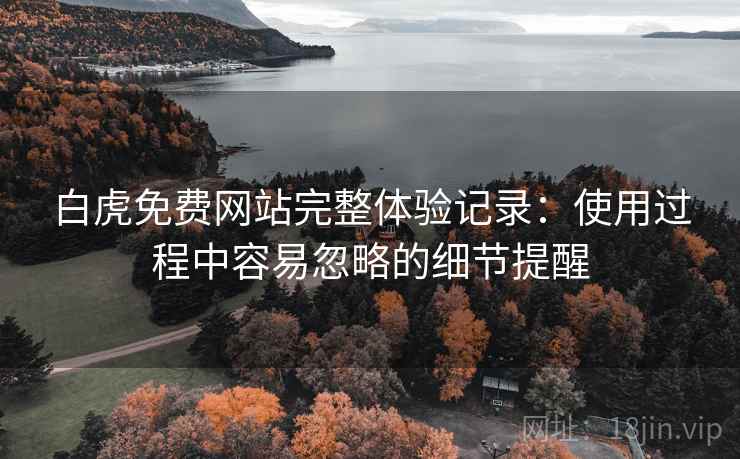 白虎免费网站完整体验记录:使用过程中容易忽略的细节提醒 第2张 白虎免费网站完整体验记录:使用过程中容易忽略的细节提醒 第2张