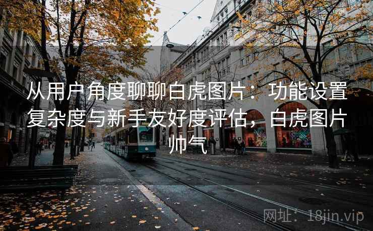 从用户角度聊聊白虎图片:功能设置复杂度与新手友好度评估,白虎图片帅气 第2张 从用户角度聊聊白虎图片:功能设置复杂度与新手友好度评估,白虎图片帅气 第2张