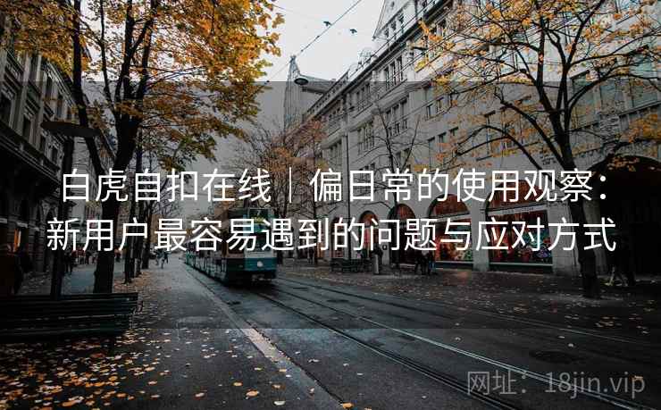 白虎自扣在线|偏日常的使用观察:新用户最容易遇到的问题与应对方式 第1张 白虎自扣在线|偏日常的使用观察:新用户最容易遇到的问题与应对方式 第1张