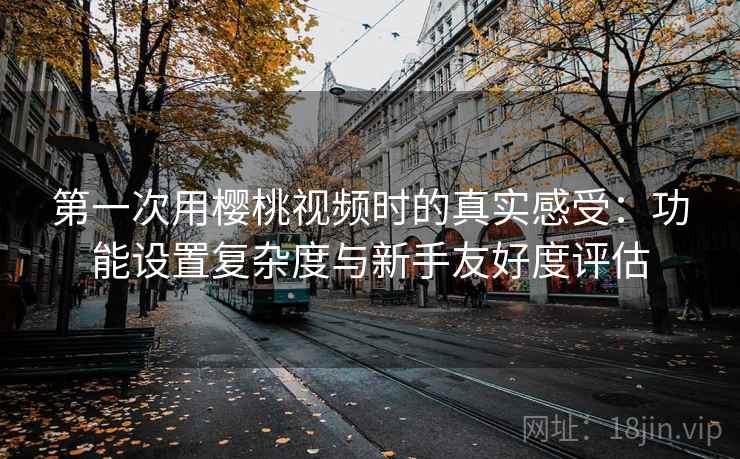 第一次用樱桃视频时的真实感受:功能设置复杂度与新手友好度评估 第1张 第一次用樱桃视频时的真实感受:功能设置复杂度与新手友好度评估 第1张