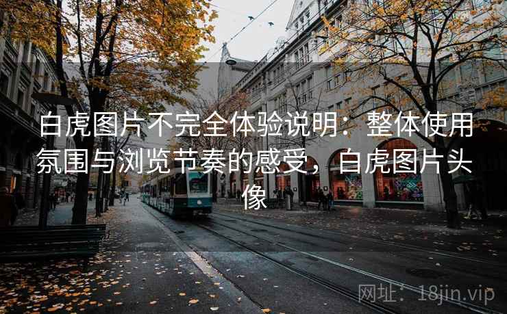 白虎图片不完全体验说明:整体使用氛围与浏览节奏的感受,白虎图片头像 第1张 白虎图片不完全体验说明:整体使用氛围与浏览节奏的感受,白虎图片头像 第1张