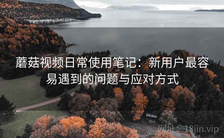 蘑菇视频日常使用笔记：新用户最容易遇到的问题与应对方式  第1张