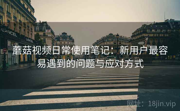 蘑菇视频日常使用笔记：新用户最容易遇到的问题与应对方式  第2张