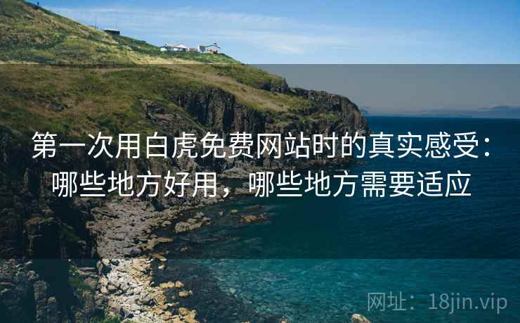 第一次用白虎免费网站时的真实感受：哪些地方好用，哪些地方需要适应  第1张